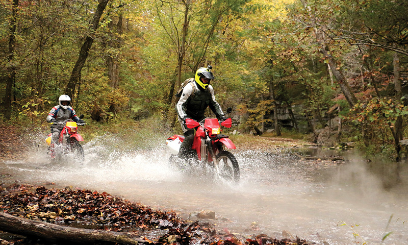 Ozark National Forest Ride