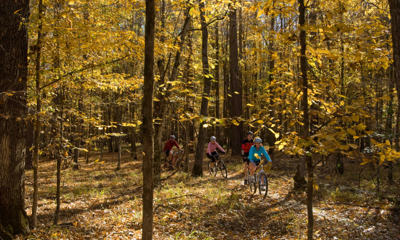 Mountain biking on the Cane Creek Lake Trail