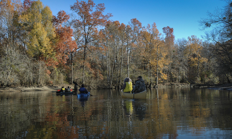 Cache River