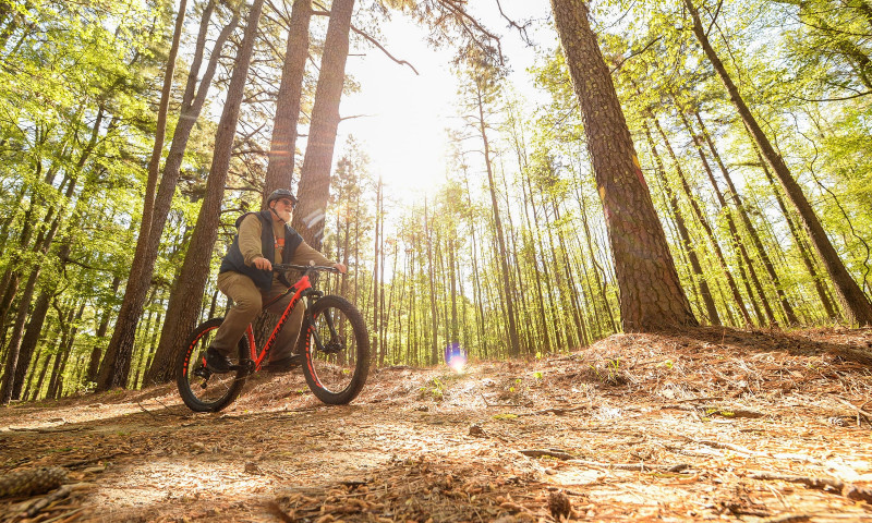 Mountain biking on the Cane Creek Lake Trail