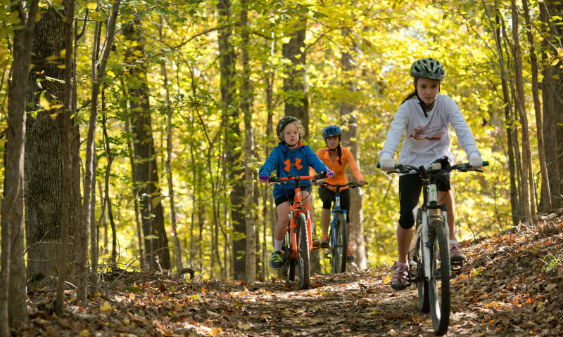 Mountain biking the at the Village Creek State Park