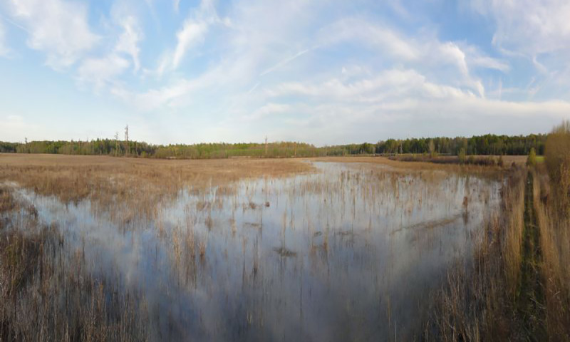 Sheffield Nelson Dagmar Wildlife Management Area