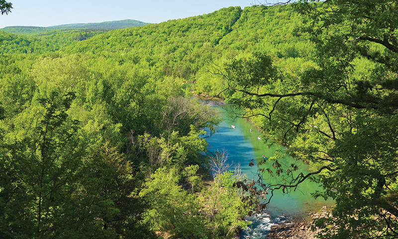 Mulberry River