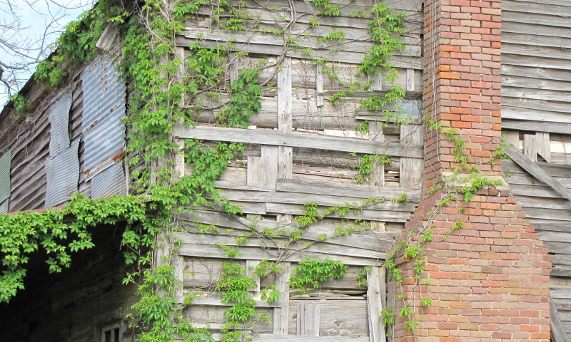 Taylor Log House and Site