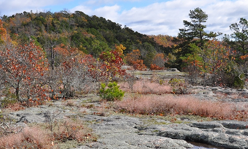 Devil’s Knob-Devil’s Backbone Natural Area