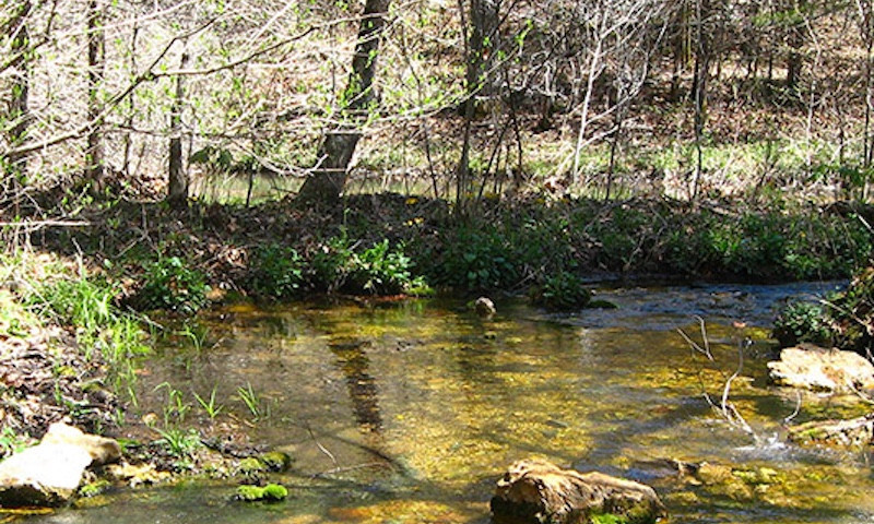 Rock Creek Natural Area