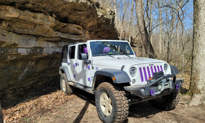 Ozark Mudlife