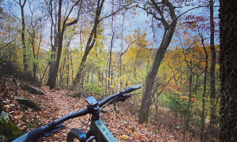 Slaughter Pen Mountain Bike Trails - Guided Tours & Skills Lessons