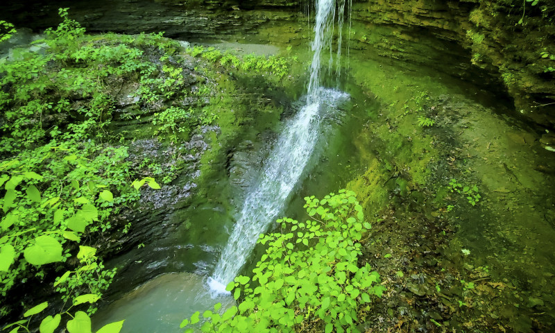 Maidenhair Falls