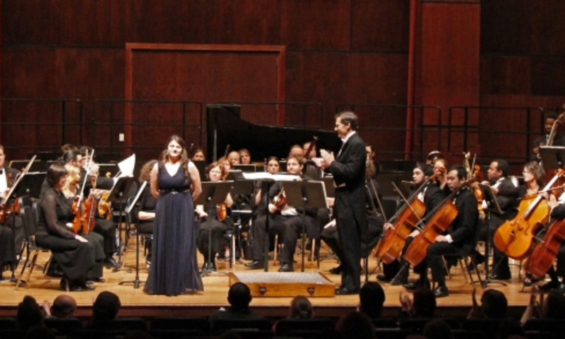 Delta Symphony Orchestra