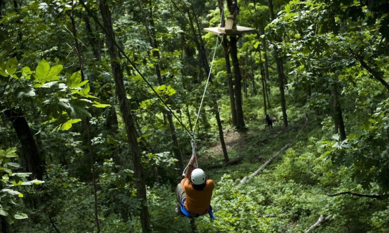 Buffalo River Canopy Tour