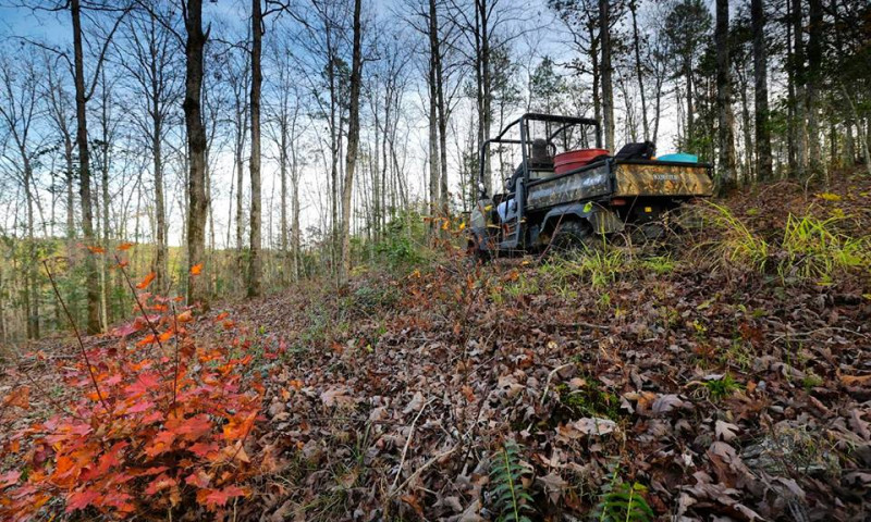 Ridgeline Trails