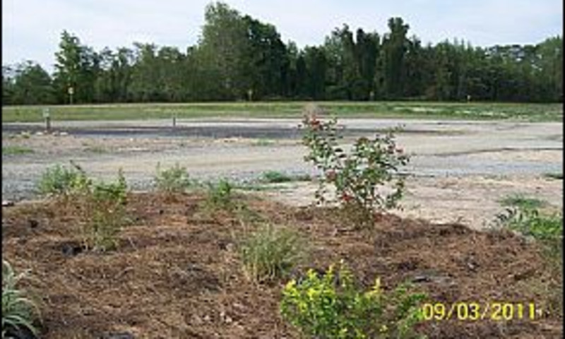 Cossatot River RV Park-Cabins