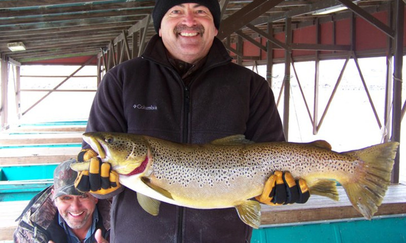 Cotter Trout Dock