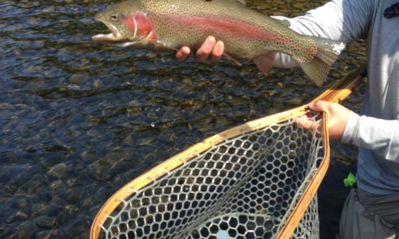 Triple F Outfitters