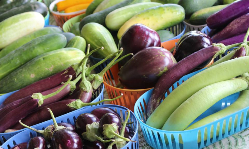 Downtown Rogers Farmers Market