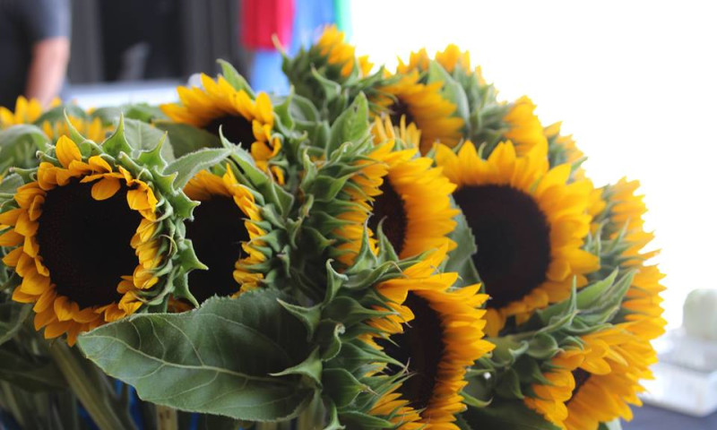 Downtown Rogers Farmers Market
