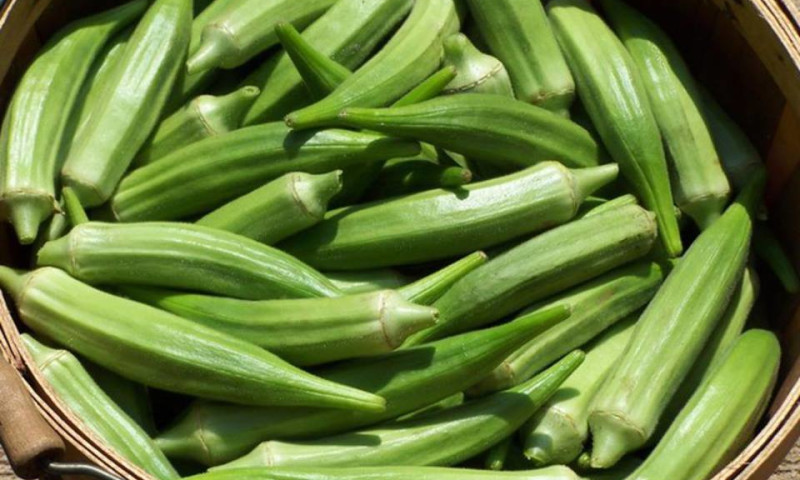 Paris Farmers Market