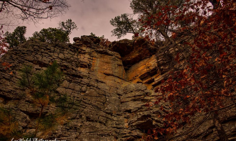 Stack Rock Special Interest Area