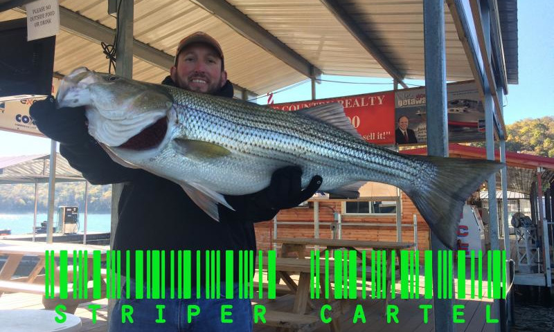 Striper Cartel - Lake Ouachita