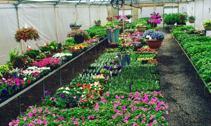 BP Nursery & Landscape