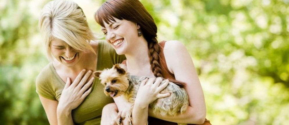 Fun & Info @ Keralites.net