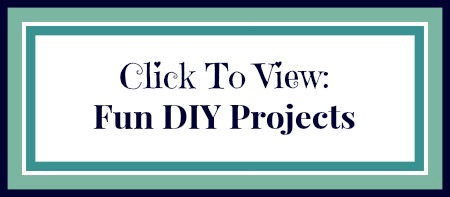 View Fun DIY Projects on The Mindful Shopper