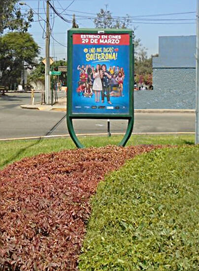 No Me Digas Solterona