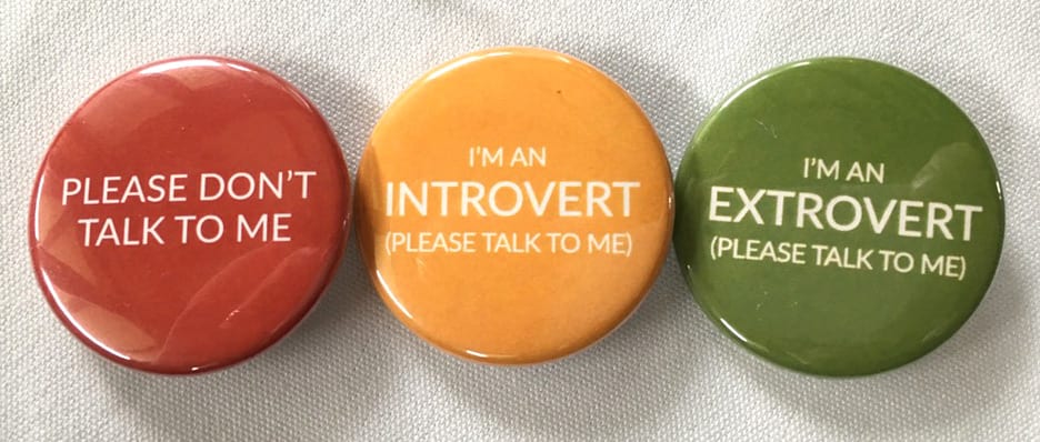 Introvert Pins