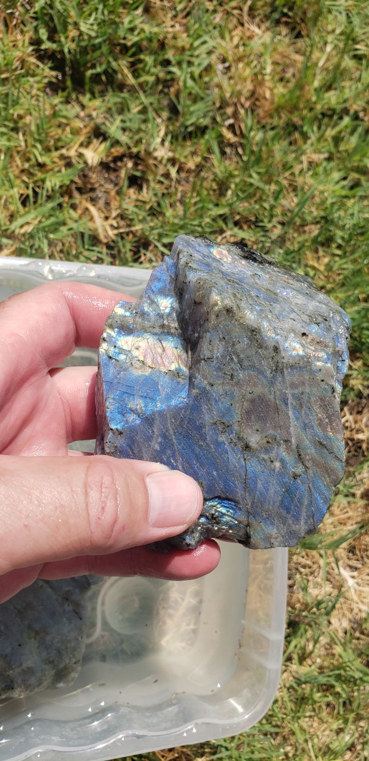 Multi color labradorite rough Rock Tumbling Hobby