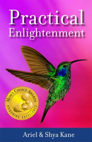Award-Winning Children's book — Practical Enlightenment
