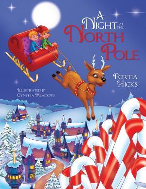 Award-Winning Children's book — A Night at the North Pole