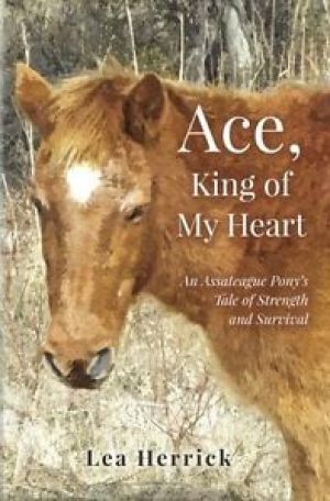 Award-Winning Children's book — Ace, King of My Heart