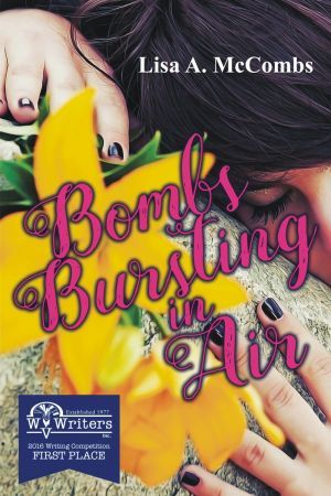 Award-Winning Children's book — Bombs Bursting in Air
