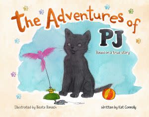 Award-Winning Children's book — The Adventures of PJ