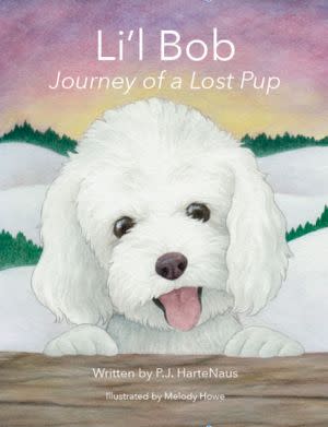 Award-Winning Children's book — Li'l Bob