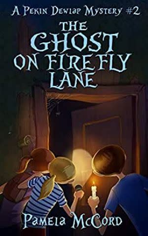 Award-Winning Children's book — The Ghost on Firefly Lane