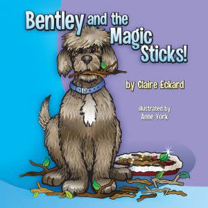 Award-Winning Children's book — Bentley and the Magic Sticks