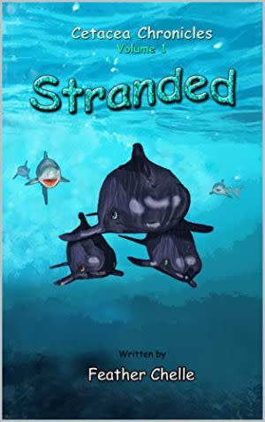 Award-Winning Children's book — Stranded