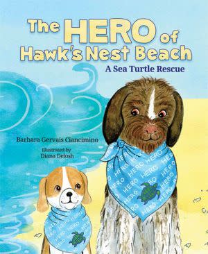 Award-Winning Children's book — The Hero of Hawk's Nest Beach