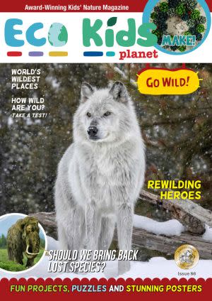 Award-Winning Children's book — Eco Kids Planet Magazine