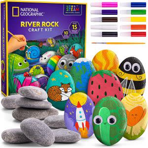 Award-Winning Children's book — National Geographic River Rock Painting Craft Kit