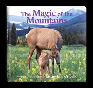 Award-Winning Children's book — The Magic Of The Mountains