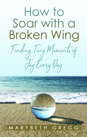 Award-Winning Children's book — How to Soar with a Broken Wing