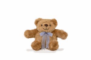 Award-Winning Children's book — The Comfort Cub
