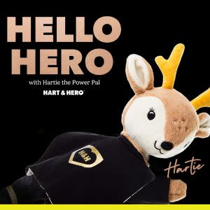 Award-Winning Children's book — Hello Hero