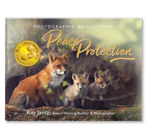 Award-Winning Children's book — Peace Protection