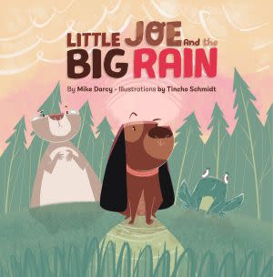 Award-Winning Children's book — Little Joe and the Big Rain