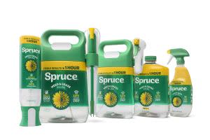 Award-Winning Children's book — Spruce