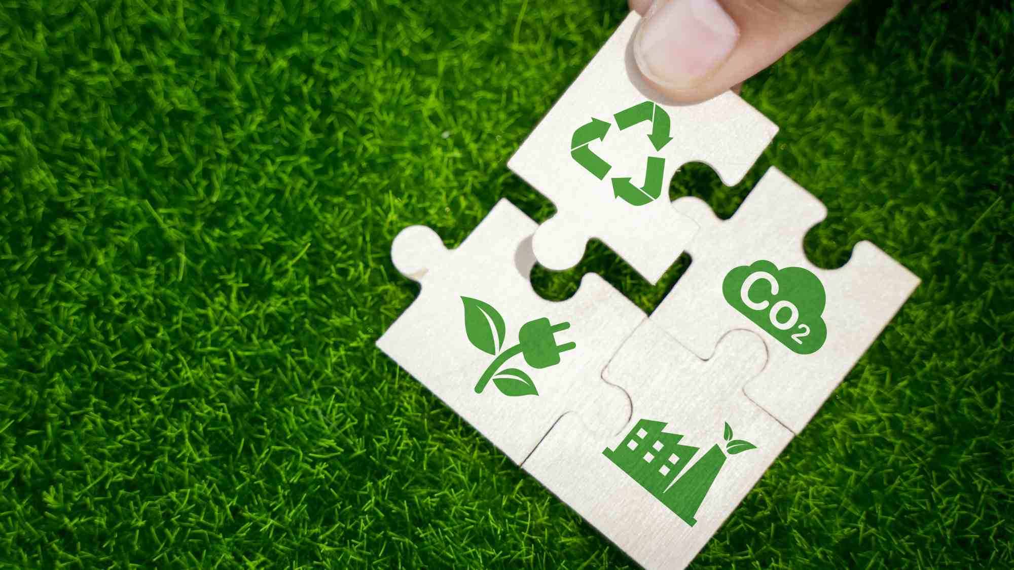 http://res.cloudinary.com/momentum-media-group-pty-ltd/image/upload/v1/Money%20Management/green-sustainability-mm_o1fmla.jpg